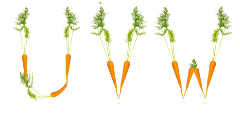 Letters U, V, W made of carrots, on a white background