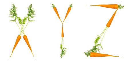 Letters X, Y, Z made of carrots, on a white background