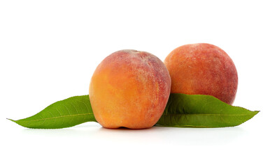 Two peaches and leaves.