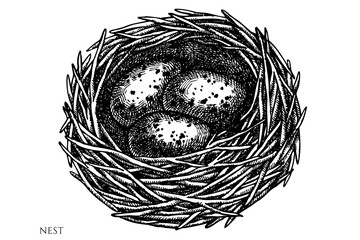 Mysterious forest vintage vector illustrations collection. Black and white nest.