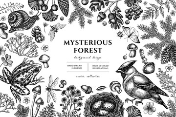 Mysterious forest hand drawn illustration design. Background with sketch waxwing, snail, nest, pool frog, moss, spruce branch, pine cones, chamomile, mushrooms, insect, porcini, red currant, oak
