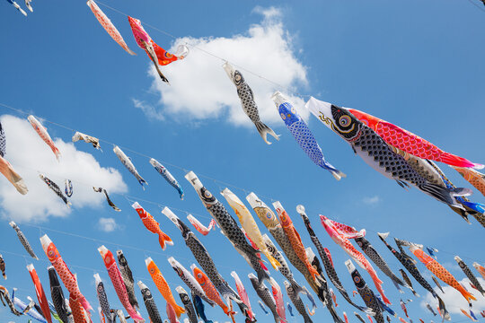 こいのぼり Images Browse 7 3 Stock Photos Vectors And Video Adobe Stock