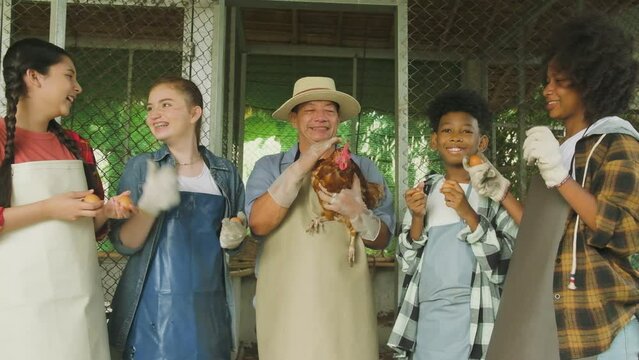 Multiracial children collect chicken eggs and play uncle farmer's hen in agriculture and livestock education at organic farm, kids group joyful and smile, happy outdoor learn in natural countryside.