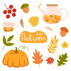 Big autumn set of leaves, acorns and rowan, teapot
