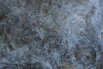 Closeup of background structure of a weathered wooden surface dried light timber without bark.