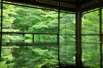 京都 瑠璃光院のもみじを反射した美しいテーブル	