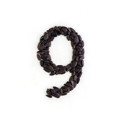 Number 9 made from sunflower seeds. Alphabet made from sunflower seeds. White background