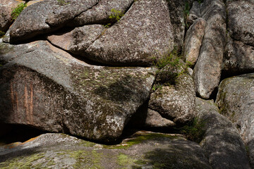 Forest and Huge stones in the forest covered with moss. Background for your design. Forest ecology.