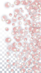 Pink Vector Realistic Petals Falling on Transparent Background.  Spring Romantic Flowers Illustration. Flying Petals. Sakura Spa Design. Blossom Confetti. Design Elements for Wedding Decoration.