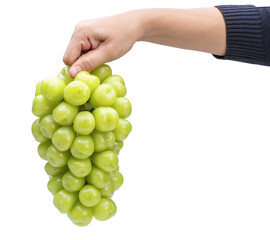 Woman Hand holding Green grape isolated on white background With png file, Shine Muscat Grape with leaves on white background,