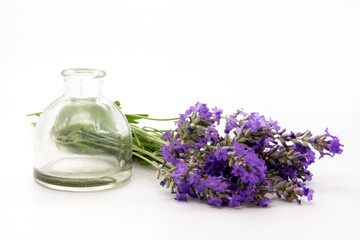 Glass bottle of Lavender essential oil with fresh lavender flowers and dried lavender seeds on white wooden rustic table, aromatherapy spa massage concept. Lavendula oleum