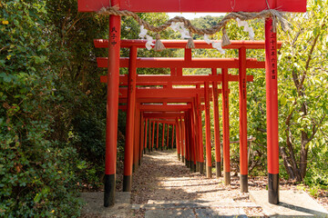 稲葉根社（日本最古の稲荷跡）