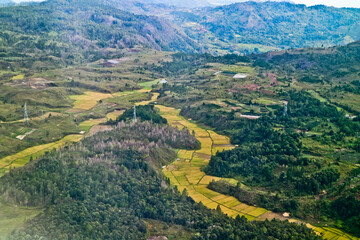 Obraz premium landscape of rice fields in the highlands of Balige, North Sumatra