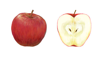 赤リンゴのセット　丸ごと1個と断面