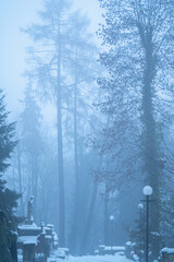  Foggy winter morning in the cemetery. Vertical image.