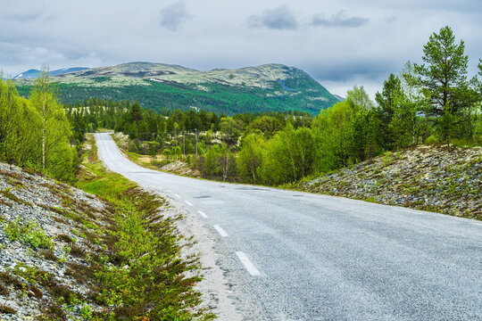 Norway, Innlandet, Empty asphalt roadin Rondane National Park
