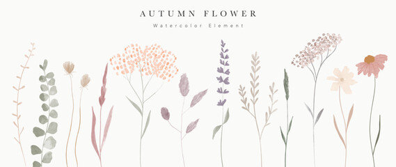Collection of floral elements in watercolor. Set of autumn wild flowers, plants, branches, leaves and herb. Hand drawn of fall season blossom garden vectors for decor, website, graphic, decorative