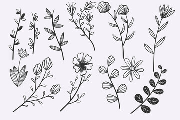 Obraz premium flower leaves doodle hand drawn vector illustration set