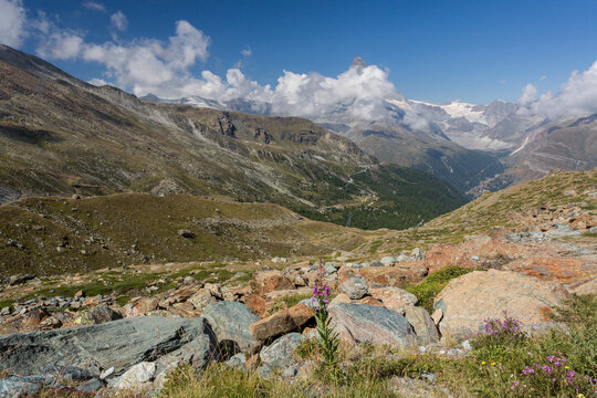 Vue vers le Cervin depuis Fluhalp