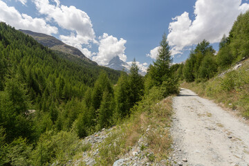 Obraz premium Chemin en montagne