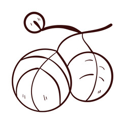 Botanical leaves set. Vector nature icon. Doodle illustration on white background.