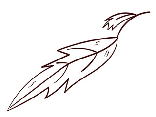 Botanical leaves set. Vector nature icon. Doodle illustration on white background.