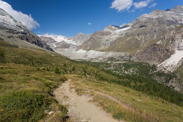Obraz premium Sentier du Matterhorn Trail sous le cervin