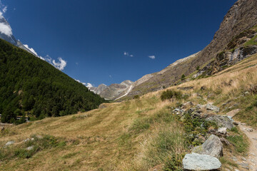 Fototapeta premium Alpage de Zmutt