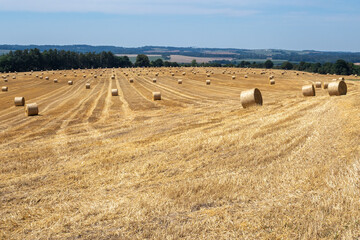 Fototapeta premium Hay bales on the field after harvest