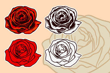 Rose flower vector illustration set