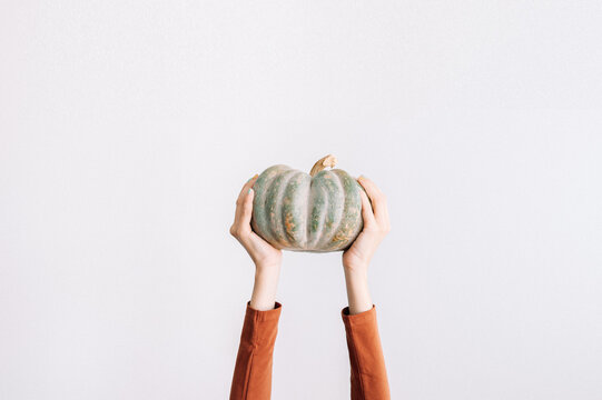 Woman hands holding an autumn pumpkin on white background with copy space.