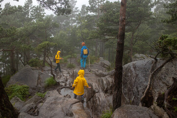 Family, enjoying the hike to Preikestolen, the Pulpit Rock in Lysebotn, Norway on a rainy day, toddler climbing with his pet dog the one of the most scenic fjords