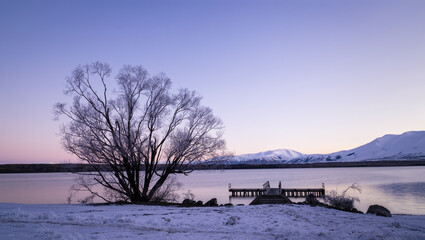 Lake Ohau at sunset, tree covered in hoar frost, Twizel, South Island.