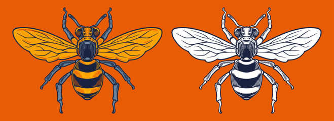 wasp mascot vector illustration cartoon style