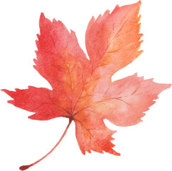 Maple Leaf Watercolor Autumn