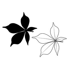 Set of vector chestnut leaf outline and silhouette black icon. Simple chestnut leaves illustration for logo. Realistic hand drawn leaves illustration set on white background.