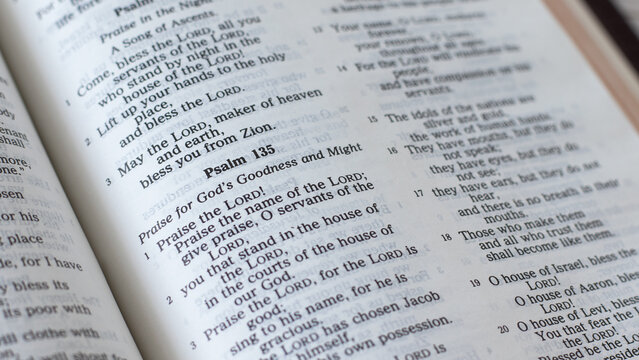 Psalm 135 verses in an open Holy Bible Book, a closeup. Praise of God's goodness and might, Christian biblical concept.
