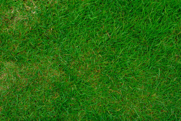 Green artificial grass natural background
