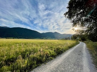 Fototapeta na wymiar Spaziergang im Sommer in der Abenddämmerung am Feld und Moor in den bayerischen Ammergauer Alpen 