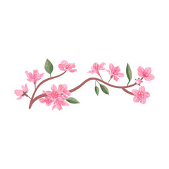 Peach tree branches with leaves. Flat vector illustrations for spring in Asia, nature, blooming. Sakura blossom