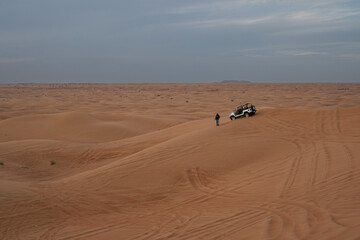 Fototapeta na wymiar The Evening Desert Safari is a most popular excursion in Dubai.