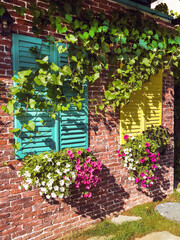 Fototapeta na wymiar Beautiful brick house windows with colorful shutters, flower pot and ivy, Provence, France 
