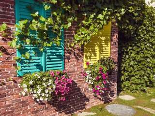 Beautiful brick house windows with colorful  shutters, flower pot and ivy, Provence, France 