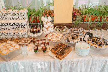 flowers in the garden