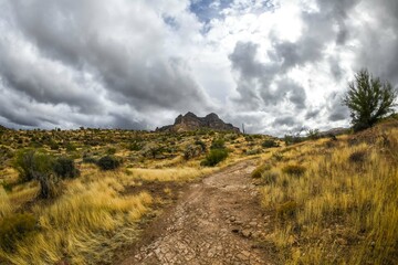 An overlooking view of Tonto National Forest, Arizona