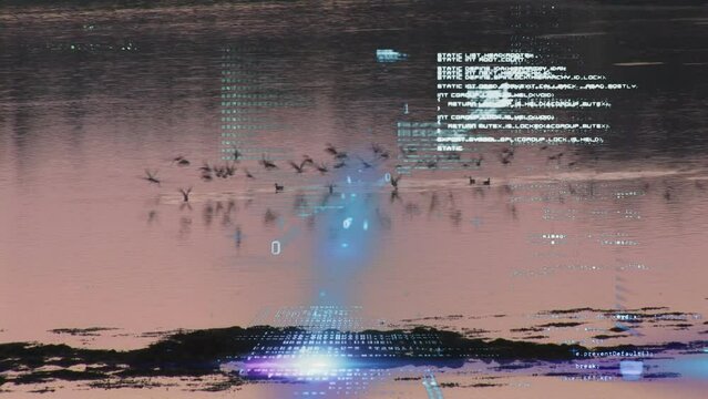 Animation of computer language and abstract patterns moving against seascape at sunset