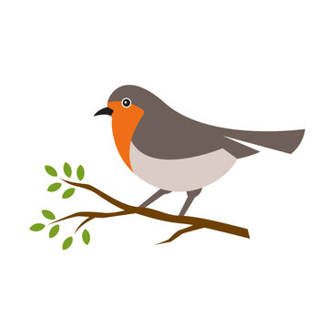 robin bird logo icon vector illustration in flat style
