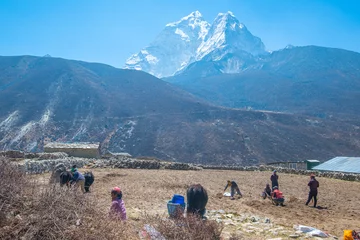 Printed roller blinds Makalu Dingboche village and mount Lhotse - trek to Everest base camp - Nepal Himalayas mountains