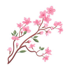 Cherry or peach tree branches with leaves. Flat vector illustrations for spring in Asia, nature, blooming. Sakura blossom