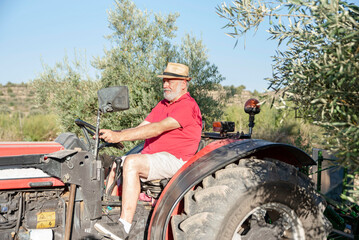 Fototapeta premium side view of a proud older farmer with a hat working in the field with a tractor